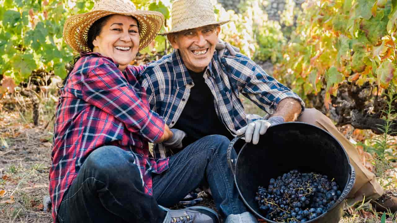 Brasil se tornou celeiro do mundo pelas mãos dos fazendeiros (as). 