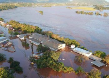 Prazo de renegociação de crédito para produtores do RS é prorrogado até 15 de outubro