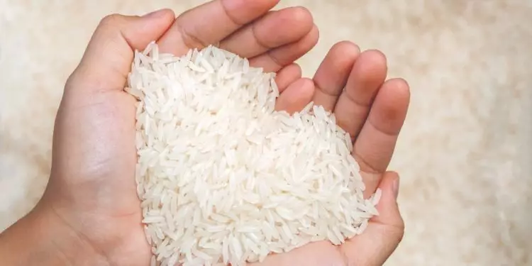 Conab irá doar sementes de arroz para agricultores do RS afetados pelas enchentes