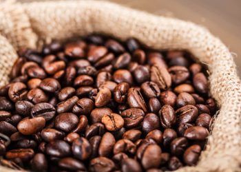 Conab prevê queda na produção de café em 2024 devido condições climáticas