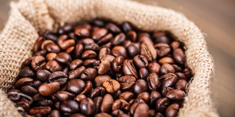 Conab prevê queda na produção de café em 2024 devido condições climáticas