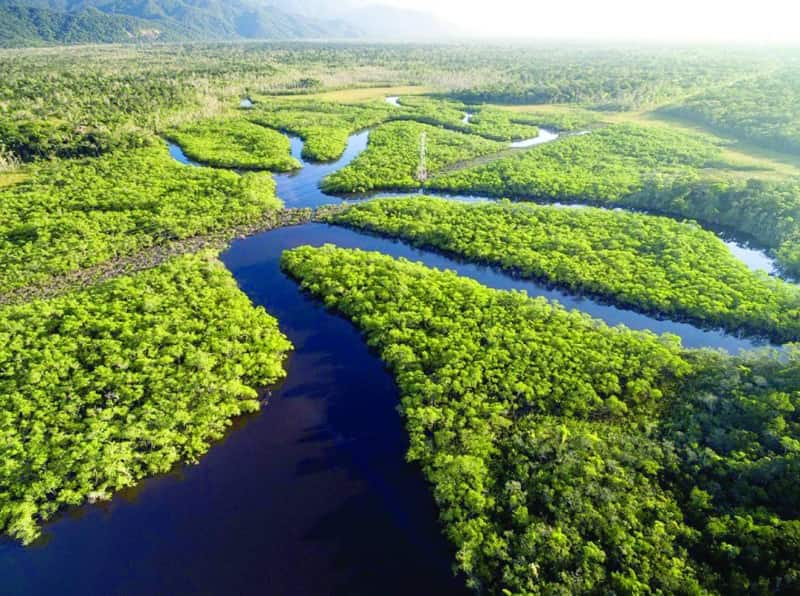 Dia Nacional da Amazônia