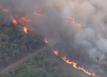 Dia Nacional do Cerrado bioma permanece sendo o mais atingido por incêndios