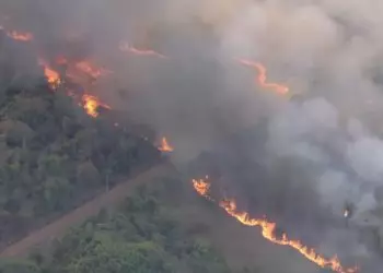 Dia Nacional do Cerrado bioma permanece sendo o mais atingido por incêndios