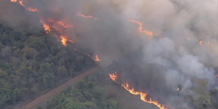 Dia Nacional do Cerrado bioma permanece sendo o mais atingido por incêndios