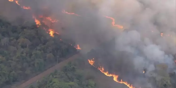 Dia Nacional do Cerrado: bioma permanece sendo o mais atingido por incêndios 1 Dia Nacional do Cerrado bioma permanece sendo o mais atingido por incêndios
