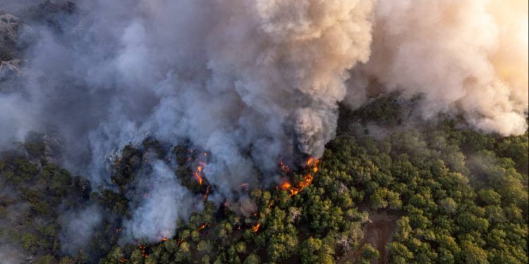 Governo anuncia crédito extraordinário de R$ 514 milhões para combater incêndios