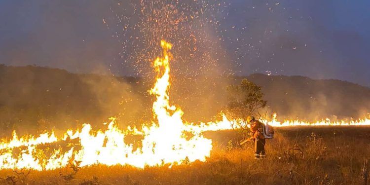 Incêndio consome 10 mil hectares na Chapada dos Veadeiros, em Goiás