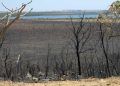 Cinzas dos incêndios contêm poluentes que afetam a qualidade da água