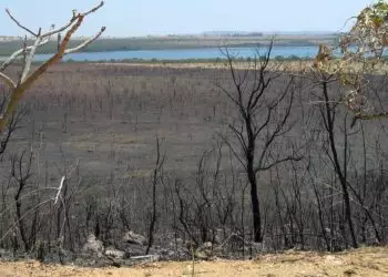 Cinzas dos incêndios contêm poluentes que afetam a qualidade da água