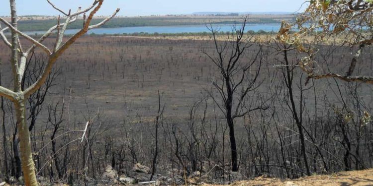 Cinzas dos incêndios contêm poluentes que afetam a qualidade da água