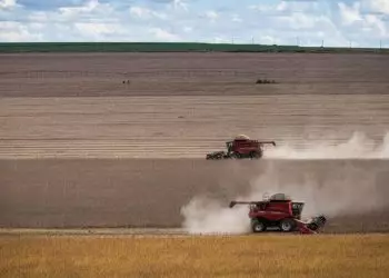 Mato Grosso concentra quase 20% do valor de produção agrícola do Brasil