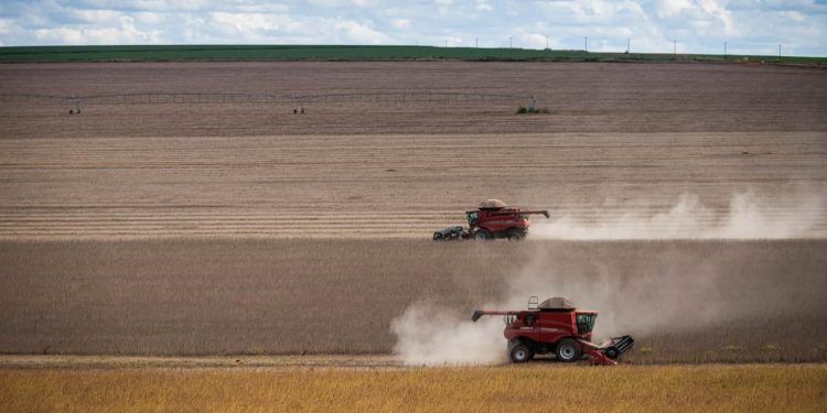 Mato Grosso concentra quase 20% do valor de produção agrícola do Brasil