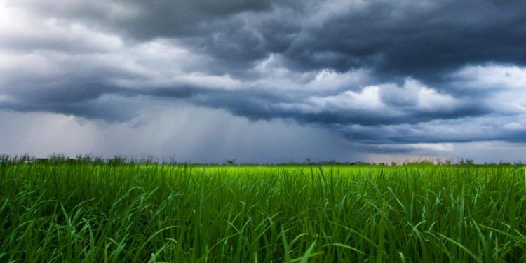 Nova frente fria chega ao Brasil e traz mudanças bruscas no clima; veja a previsão