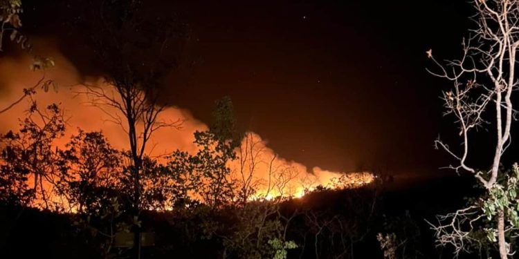 Parque Nacional da Chapada dos Veadeiros é fechado para visitação após novo incêndio