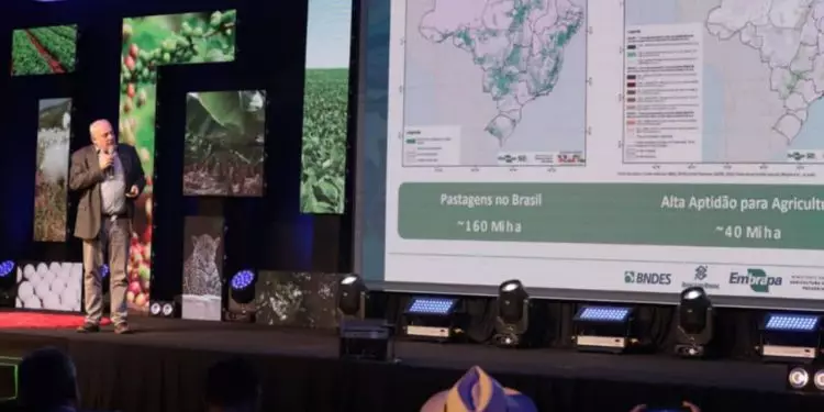 Programa de Conversão de Pastagens recebe financiamento com juros de 6,5%; veja 1 Com Eco Invest da STN, Programa de Conversão de Pastagens terá financiamento com juros de 6,5%