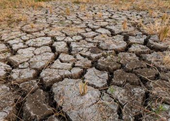 Seca prolongada: riscos para a agricultura, economia e abastecimento de água