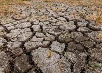 Seca prolongada: riscos para a agricultura, economia e abastecimento de água