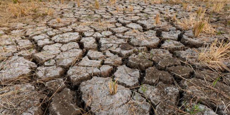 Seca prolongada: riscos para a agricultura, economia e abastecimento de água