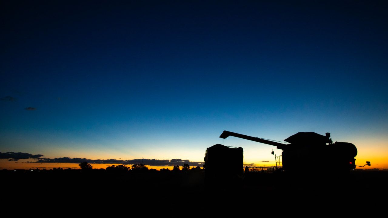 Sorriso (MT) é o município com maior valor de produção agrícola do Brasil. 