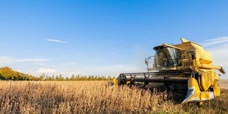 VBP da Agropecuária deve registrar queda de 3,2% e chegar a R$ 1,2 trilhão