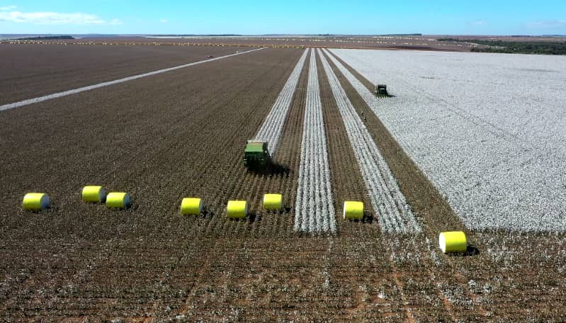 Novo protocolo irá permitir a monitoração de gases de efeito estufa na agricultura 3 Agricultura brasileira