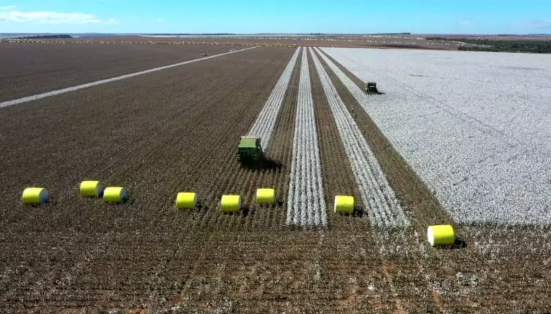 Agricultura brasileira