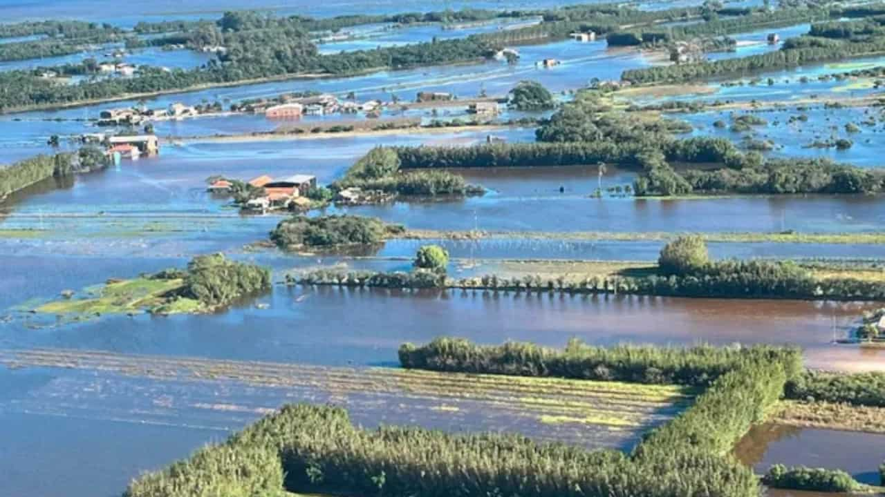 Agro gaúcho perdeu mais de R$ 3 bilhões em decorrência das enchentes. 