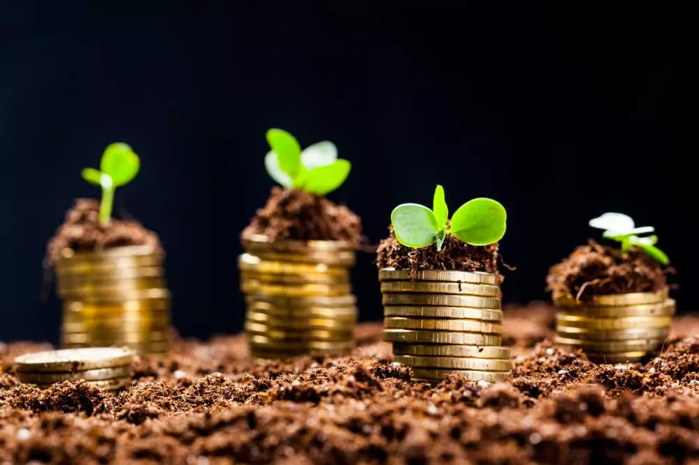 Saiba quem são os maiores bilionários brasileiros do agro em 2024, segundo a Forbes 2 maiores bilionários do agro
