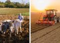 Curso ensina história, evolução, legislação e mercado do agronegócio brasileiro