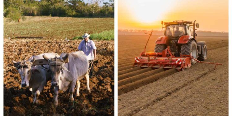 Curso ensina história, evolução, legislação e mercado do agronegócio brasileiro