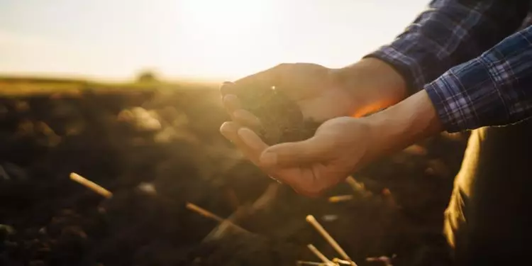 Curso gratuito ensina como fazer análise visual da qualidade do solo 1 capacitacao online da suporte ao produtor na tomada de decisao