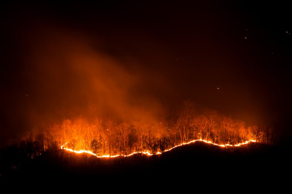 incêndio florestal