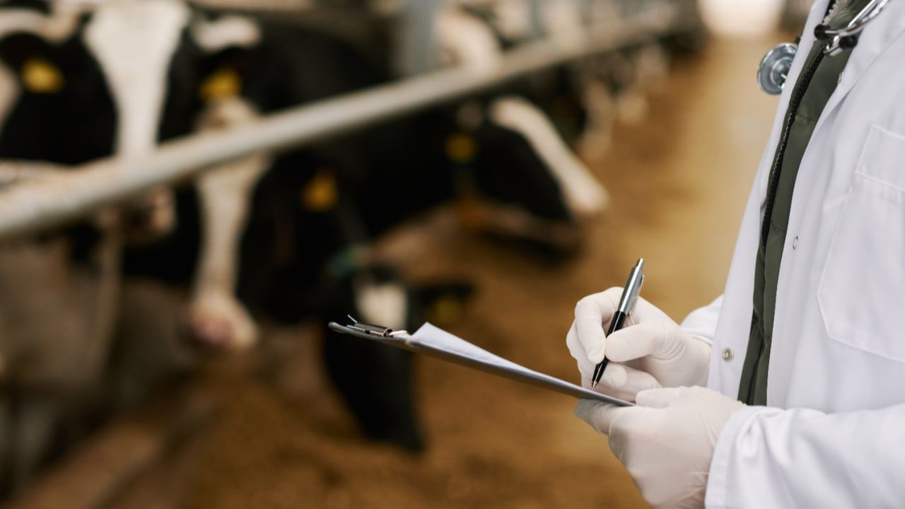 Controle térmico e nutrição adequada garante previne doenças. 