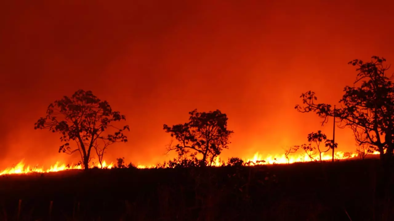 CNA orienta sobre prevenção, proteção e combate a incêndios em propriedades rurais 2 Danos foram mensurados na pecuária de corte, cana-de-açúcar e solo.