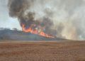 Multa para incêndios provocados em vegetação chega a R$ 10 mil por hectare