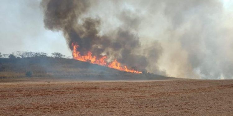 Multa para incêndios provocados em vegetação chega a R$ 10 mil por hectare