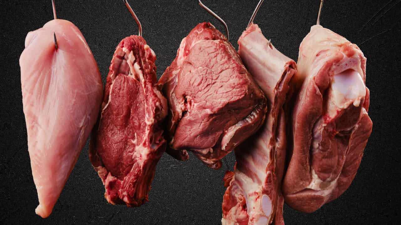 Demanda aquecida no mercado interno e externo impulsionam proteínas de aves e suínas.