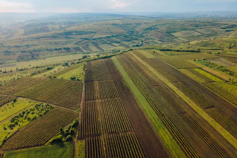 Novo protocolo irá permitir a monitoração de gases de efeito estufa na agricultura 2 Efeito estufa