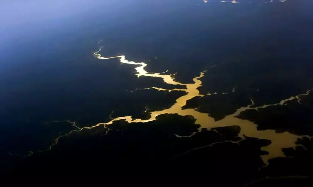 Governo entra com ação por danos climáticos contra Amazônia por criação ilegal de gado 3 floresta na Amazônia