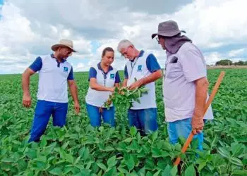 Emater Goiás abre 25 vagas para servidores da agropecuária; veja como participar