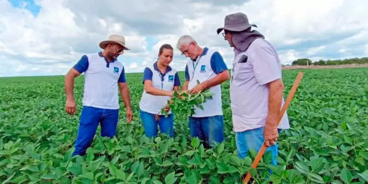 Emater Goiás abre 25 vagas para servidores da agropecuária; veja como participar