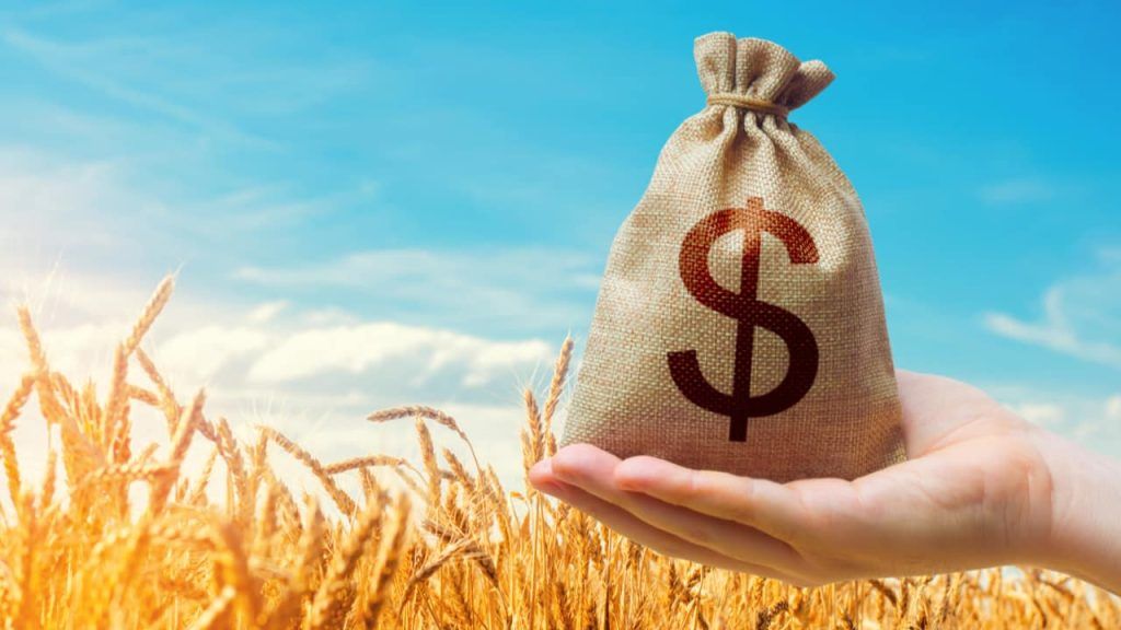 Saiba quem são os maiores bilionários brasileiros do agro em 2024, segundo a Forbes