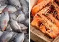 Produção de peixes cresce quase 6% e de camarões 13% no Brasil em 2023