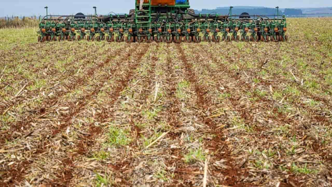 Plantio da soja acontece em diferentes momentos nas regiões brasileiras. 