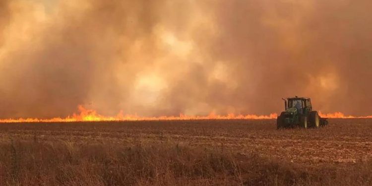 CNA orienta sobre prevenção, proteção e combate a incêndios em propriedades rurais