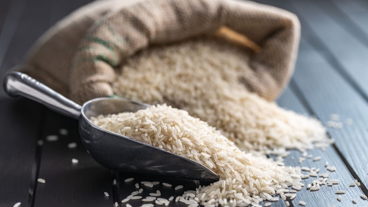 Produção de arroz cresceu mesmo com adversidades climáticas. 