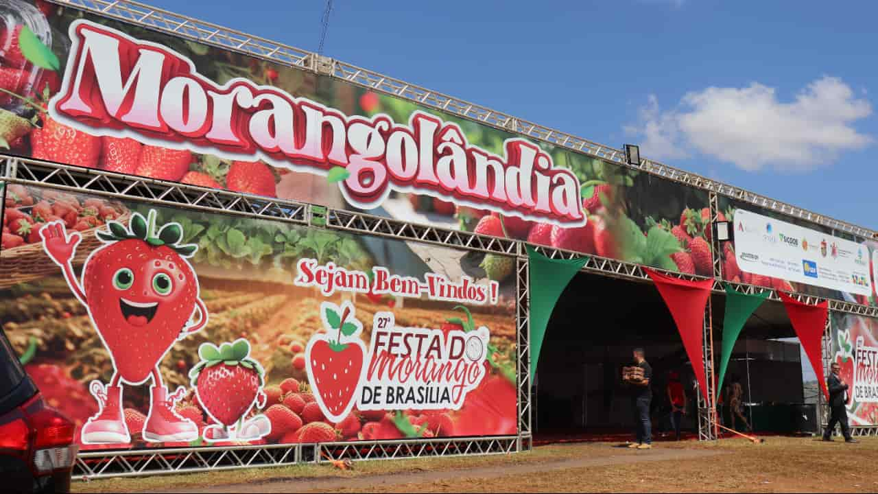 Produtores rurais apresentam variedades de morango in natura na Morangolândia. 