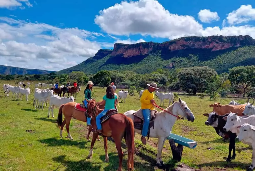 Turismo rural recebe incentivos para formalização de proprietários 