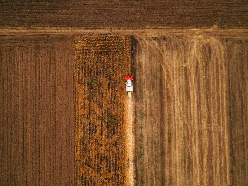 VBP da agropecuária